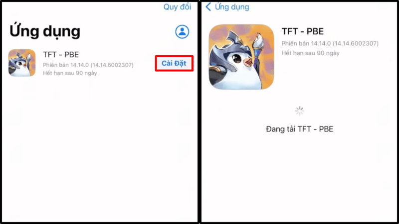 1753065405_cai-dat-tft-pbe-tren-iphone.png
