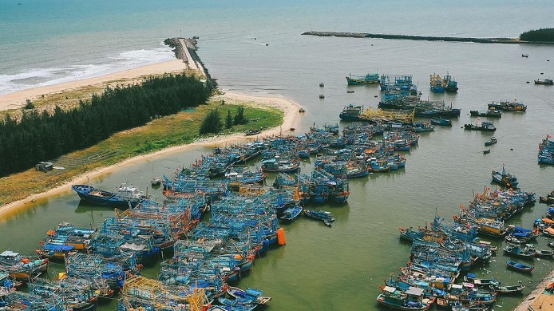 1754623097_concangbinhchau.jpg