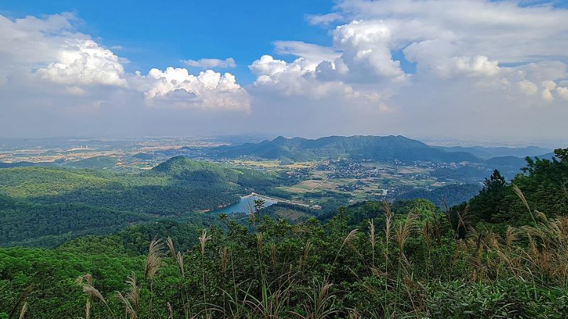 Mô tả ảnh ở đây