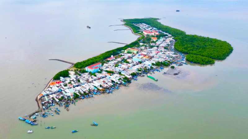 Mô tả ảnh ở đây