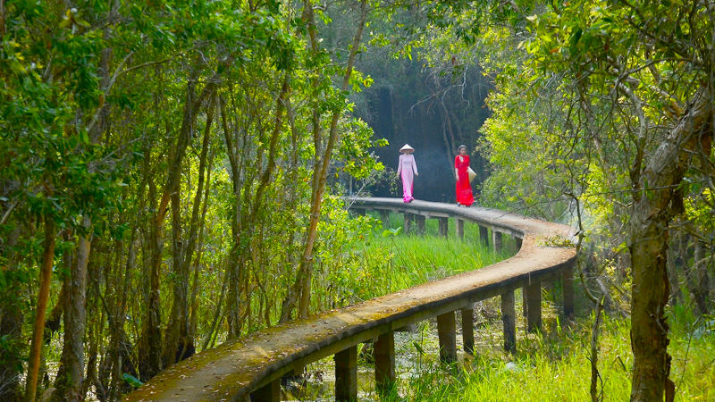 Mô tả ảnh ở đây
