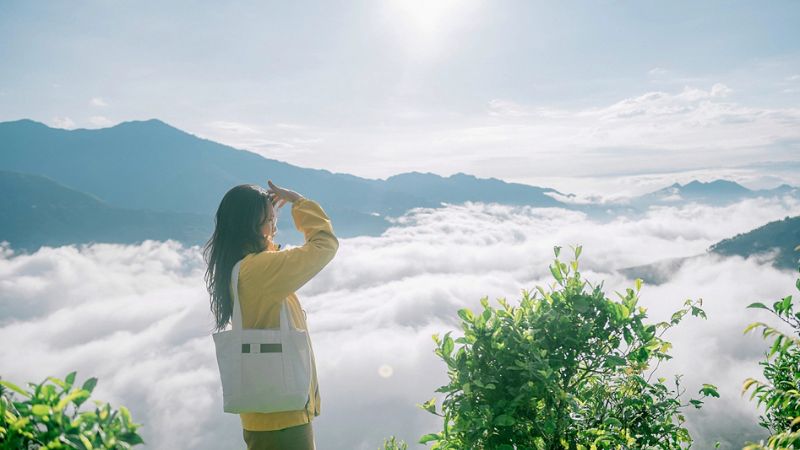 Mô tả ảnh ở đây