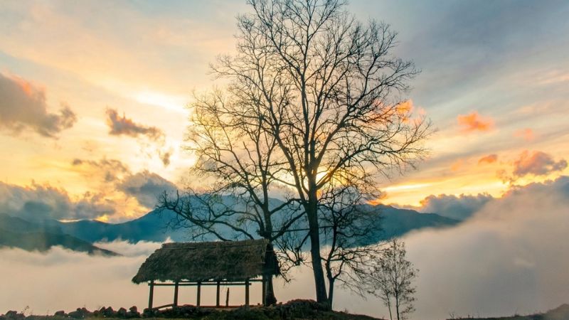 Mô tả ảnh ở đây