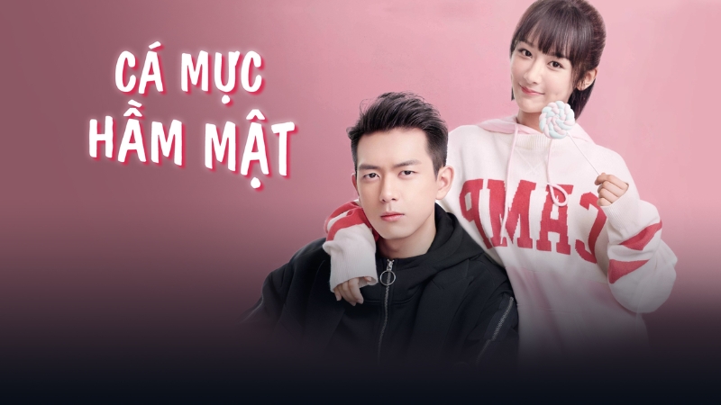 Mô tả ảnh ở đây