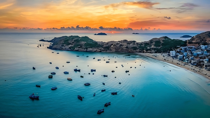 Mô tả ảnh ở đây