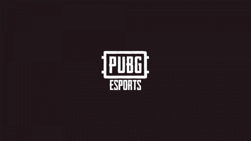 Chiêm ngưỡng bộ skin đối tác toàn cầu của PUBG Esports 2025