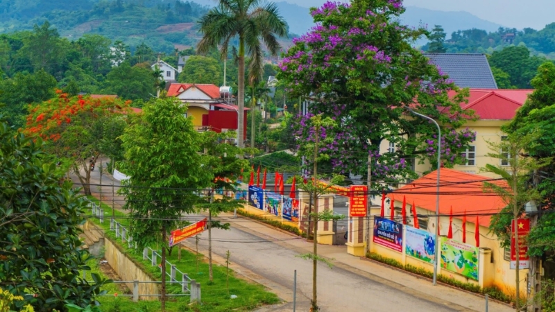Mô tả ảnh ở đây