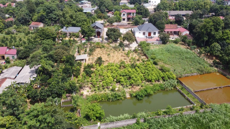 Mô tả ảnh ở đây