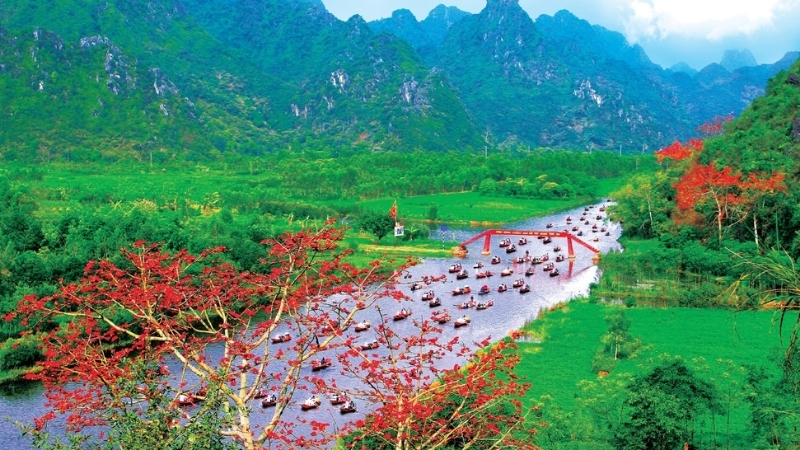 Mô tả ảnh ở đây