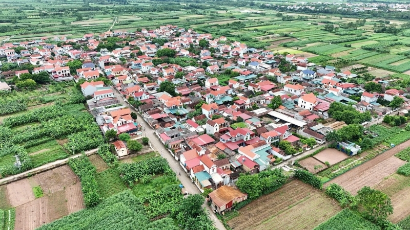 Mô tả ảnh ở đây