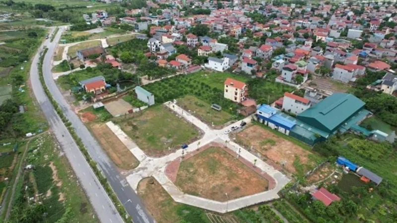 Mô tả ảnh ở đây