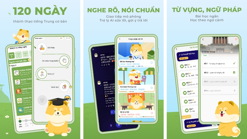Mô tả ảnh ở đây