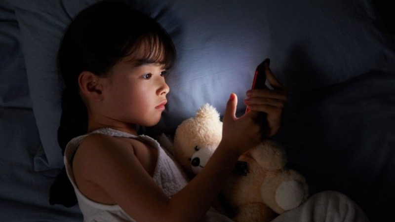 Mô tả ảnh ở đây