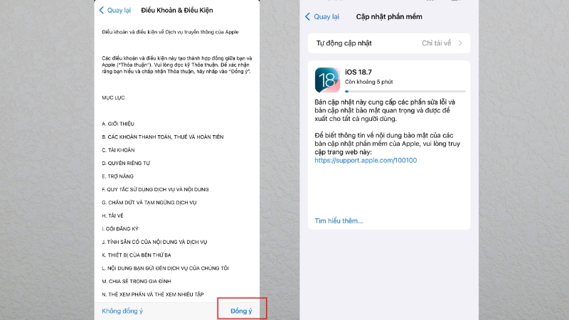 Nhấn Đồng ý để cập nhật iOS