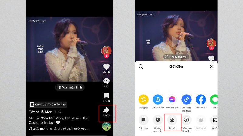 Tải video từ TikTok