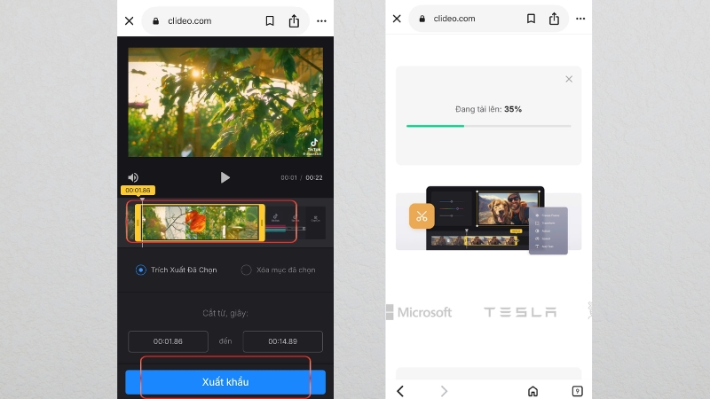 Mô tả ảnh ở đây