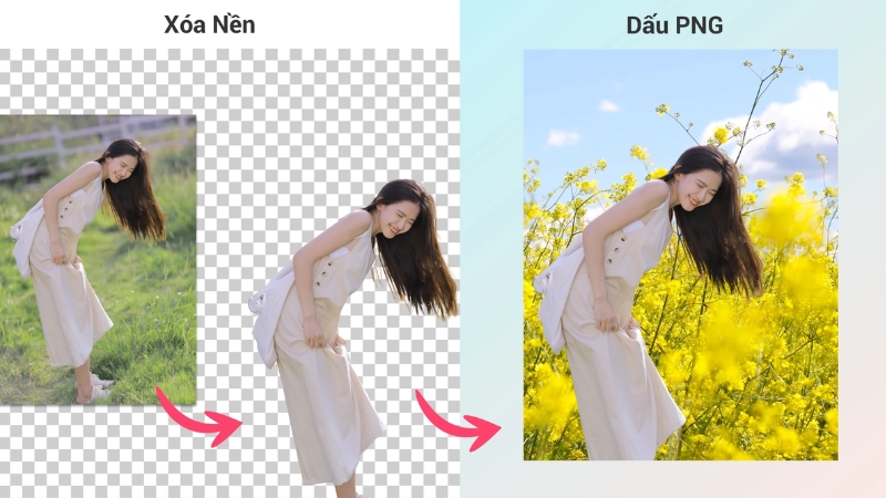 Mô tả ảnh ở đây