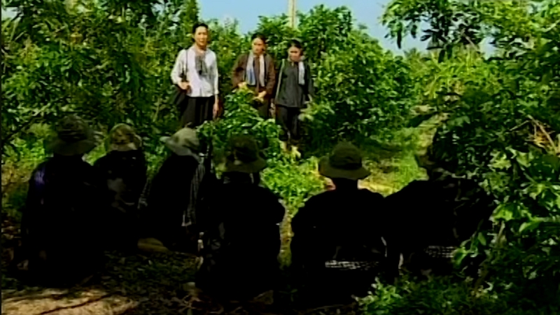 Mô tả ảnh ở đây