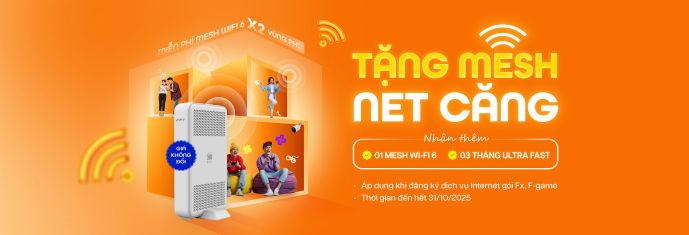 Tang mesh