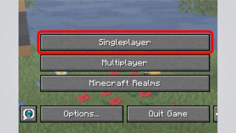 Nhấn chọn Singleplayer