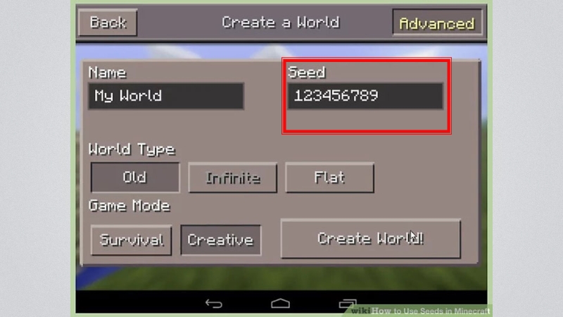 Nhập mã seed vào đây