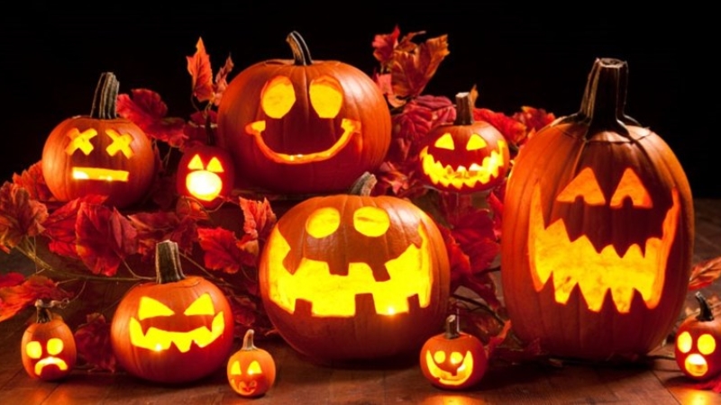 Quả bí ngô chính là biểu tượng của lễ hội Halloween
