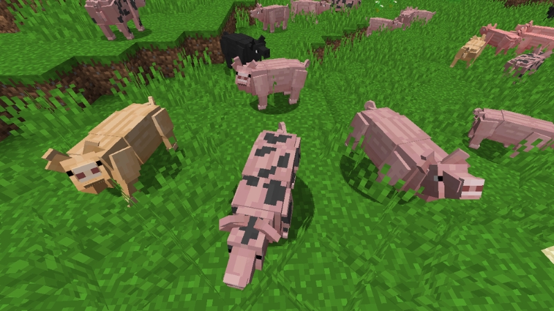 Mod Improved Animals