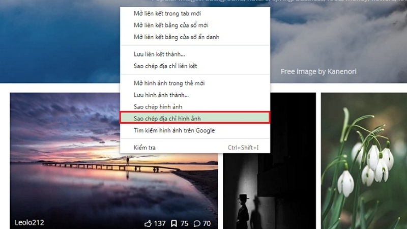 Sao chép địa chỉ ảnh