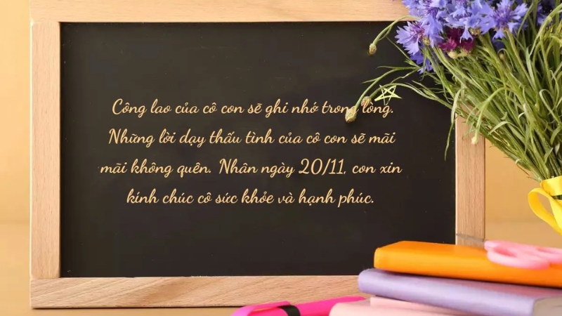 Lời chúc ngày Nhà giáo Việt Nam cho cô giáo