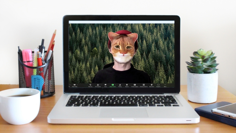 Mô tả ảnh ở đây