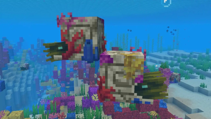 Nautilus Coral và Coral Zombie Nautilus là sinh vật biển mới