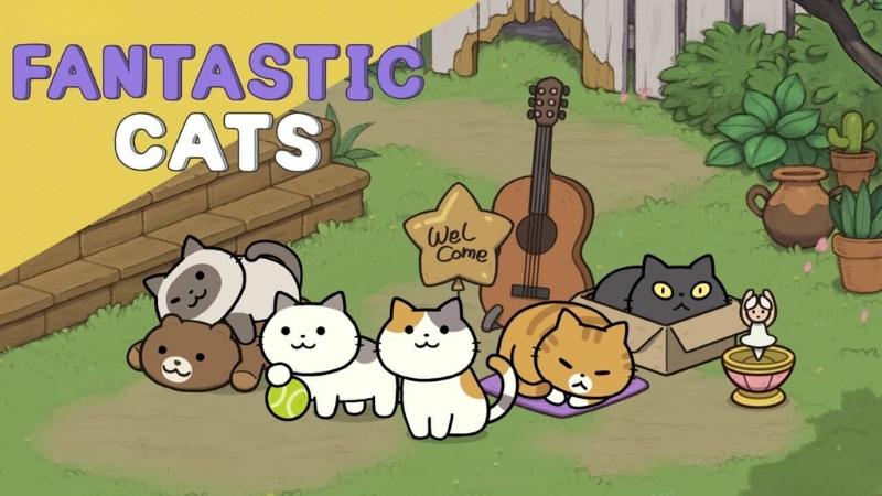 Fantastic Cat có bộ sưu tập những chú mèo kỳ diệu với tính cách siêu hài hước