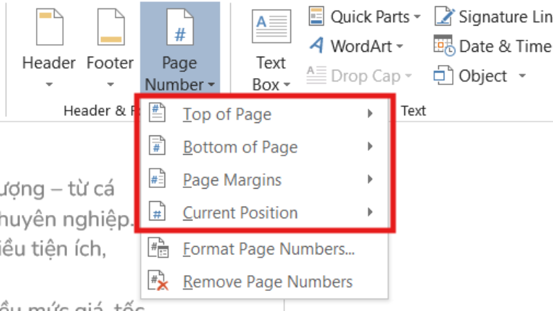 Các vị trí số trang sẽ xuất hiện