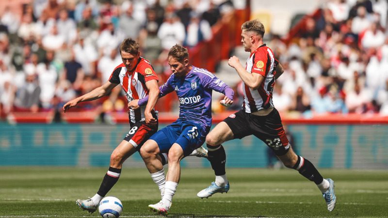 Mô tả ảnh ở đây