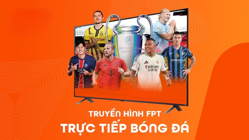 Mô tả ảnh ở đây