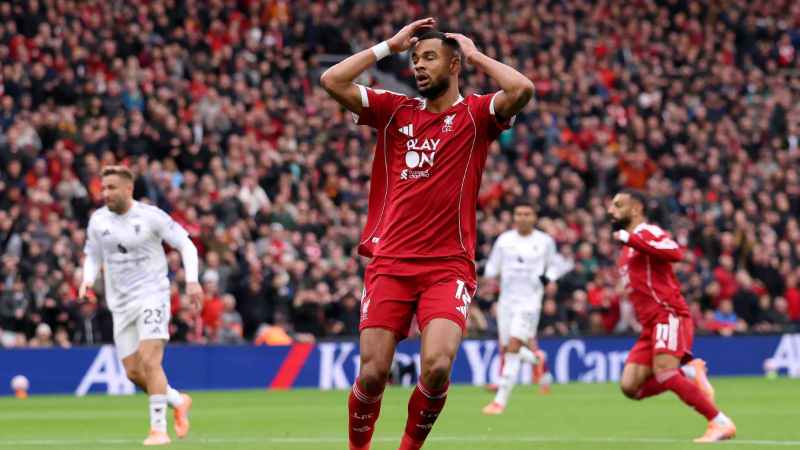 Mô tả ảnh ở đây