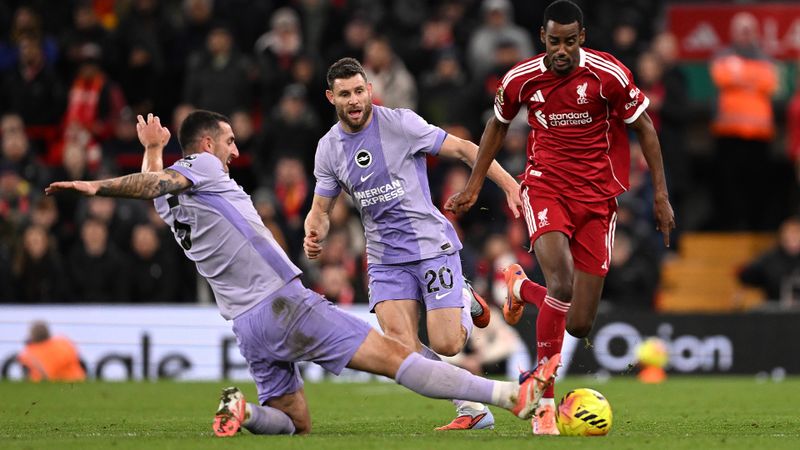 Mô tả ảnh ở đây