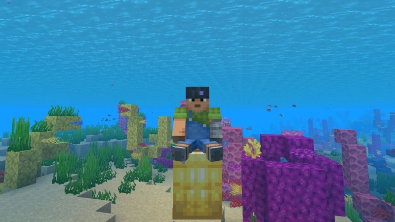 Có thể tìm thấy Nautilus ở hầu hết biomes đại dương