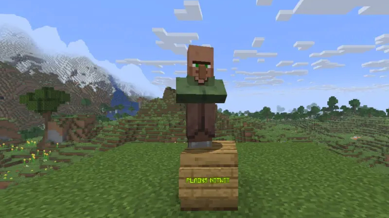 Kẻ ngốc trong Minecraft