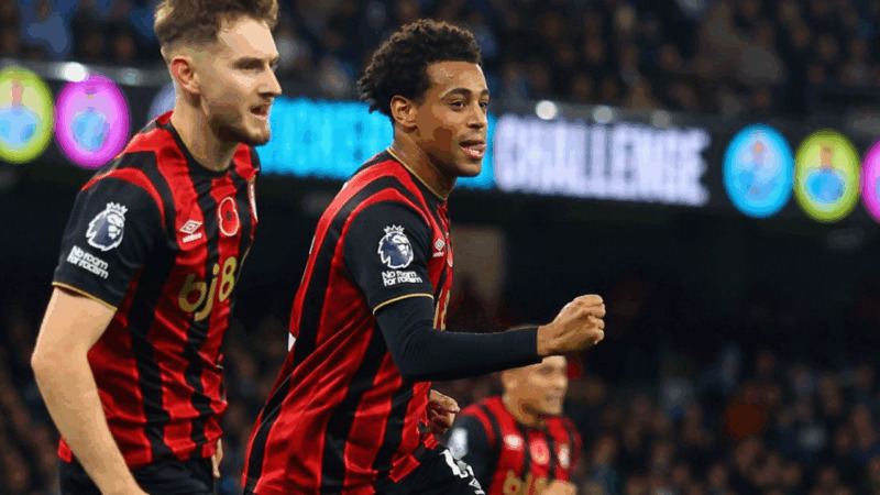 Mô tả ảnh ở đây