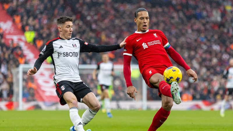 Mô tả ảnh ở đây