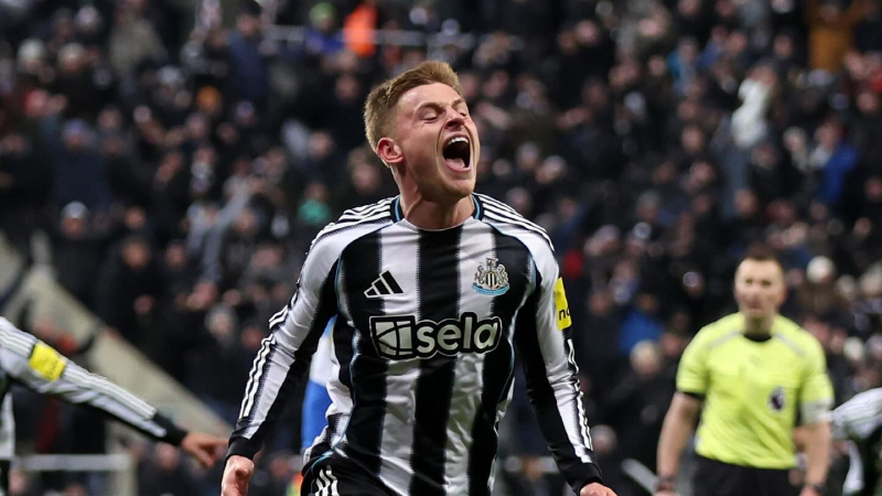 Mô tả ảnh ở đây