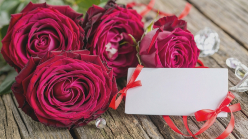 Gửi trao hương sắc yêu thương qua những đóa hoa tươi thắm và dòng chữ viết tay chân tình