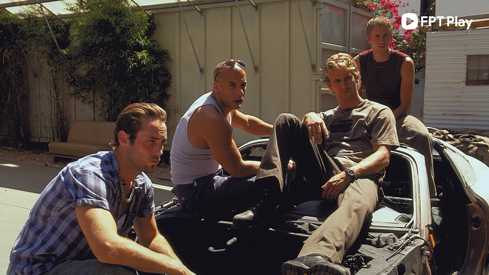 Mô tả ảnh ở đây