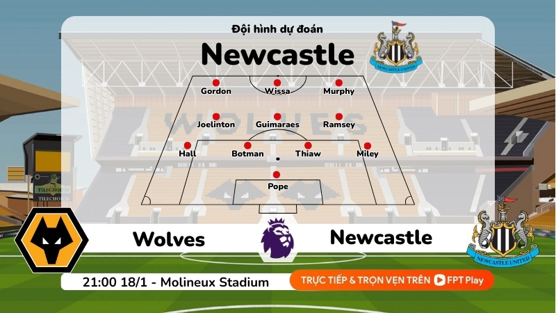 Dự đoán đội hình Newcastle trong trận 21:00 ngày 18/1/2026