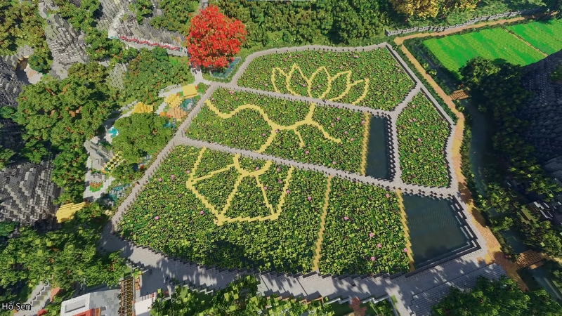 Hồ sen và cánh đồng lúa thể hiện nông nghiệp Việt Nam trong dự án Minecraft