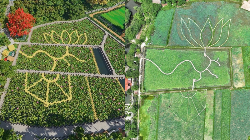 Mô tả ảnh ở đây