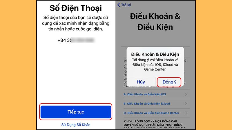 Đồng ý với điều khoản và điều kiện của Apple