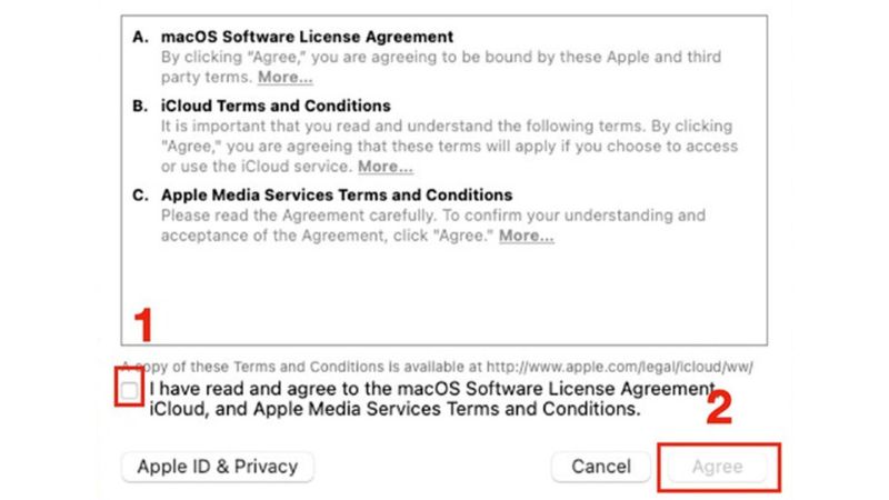 Chọn Agree ở dòng chữ I have read and agree to the macOS