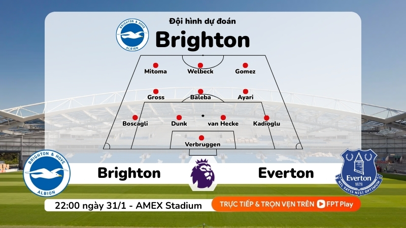 Dự đoán đội hình Brighton